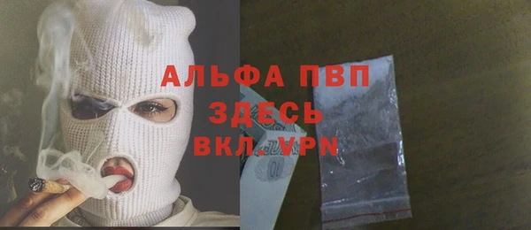 ECSTASY Тайга