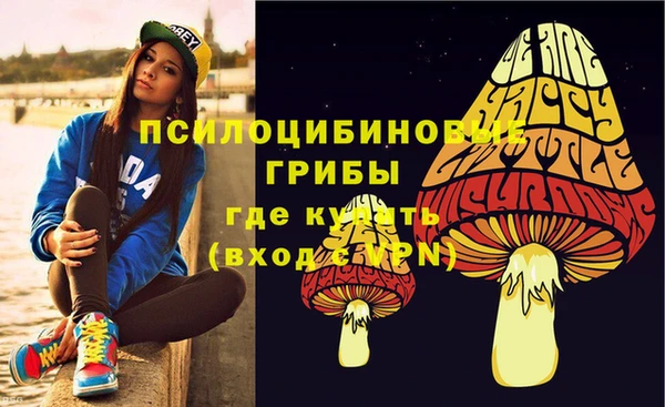 ECSTASY Тайга