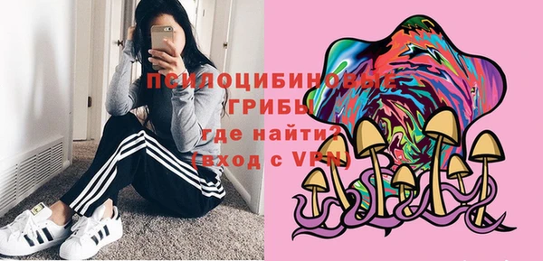 ECSTASY Тайга